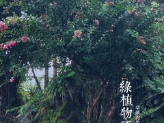 -云南勐巴娜西珍奇园