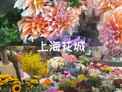 -双季花艺园艺市场(浦东店)