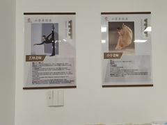 -小芳舞蹈团·少儿舞蹈·中国舞(龙江校区)