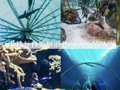 -圣淘沙名胜世界