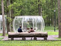 -黄海国家森林公园