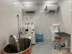 -1013 PET SHOP精品宠物商店(丁香店)