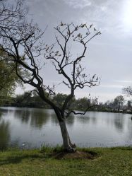 -玄武湖景区-情侣园游乐场