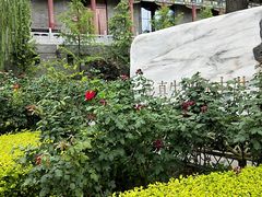 -文瀛公园