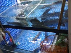 -传奇龙虾·烤牛肉