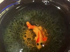 -華府(凯德晶萃店)