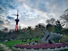 -南京古林公园