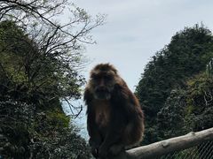-峨眉山风景名胜区
