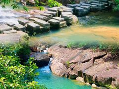 -广州白江湖森林公园