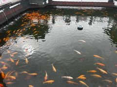 -长春市南湖公园