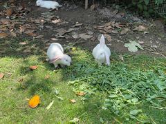 -虹御轩·传承江浙菜(虹桥店)
