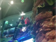 -青岛嘉年华主题乐园