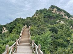 -大岭沟猕猴桃谷风景区
