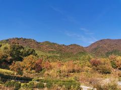 -塔川景区