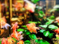 -大家乐(广州荔湾领展广场店)
