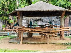 -清迈夜间动物园