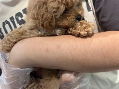 -美联众合动物医院·24h转诊中心