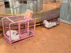 -南戴河国际娱乐中心