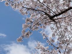 -龙美术馆(西岸馆)