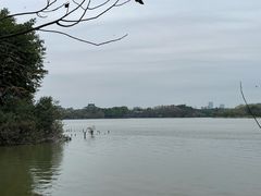 -海珠湖公园