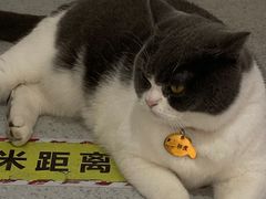 -云城照相馆(龙湖雨山天街店)