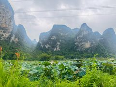 -明仕田园