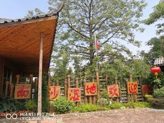 -大湾区中央湿地公园