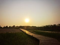 -东郊湿地公园