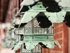 -奈良公园