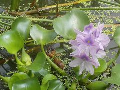 -白水寺森林公园