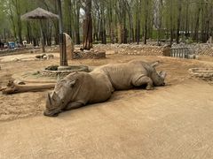 -北京野生动物园