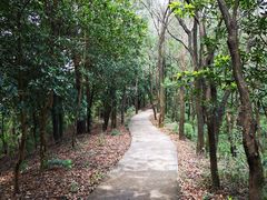 -滴水岩森林公园