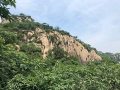 景点-大岭沟猕猴桃谷风景区