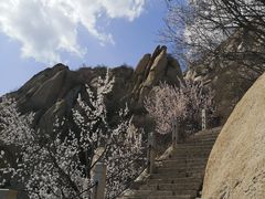 -北京凤凰岭