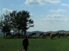 -塞罕坝国家级自然保护区