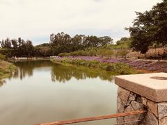 -松山湖梦幻百花洲