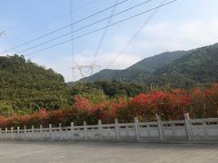 -广州市帽峰山景区