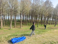 -合肥滨湖国家森林公园