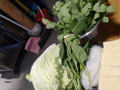 -竹叶涮肉坊(总店)