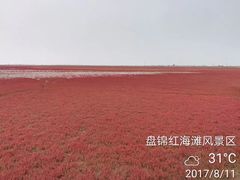 -红海滩国家风景廊道