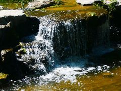 -白水寺森林公园