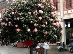 -东街钟楼肉粽(总店)