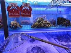 -七欣天香辣蟹火锅(无锡金太湖国际城店)