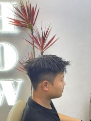 -名作·臻美Hair SaLon