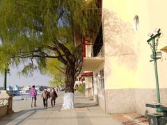 -人民防洪胜利纪念塔