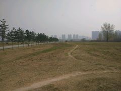 -汉长安城未央宫国家考古遗址公园