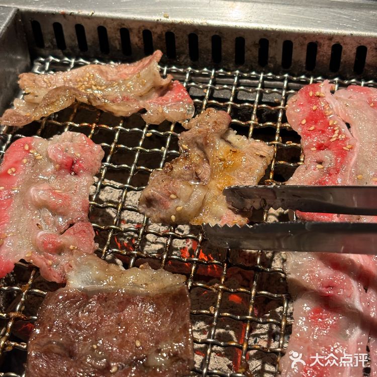 家人们！这家烤肉店的小狗🦮好乖啊！！