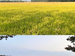 -嘉北郊野公园