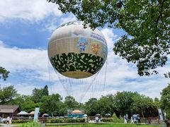 -西溪国家湿地公园