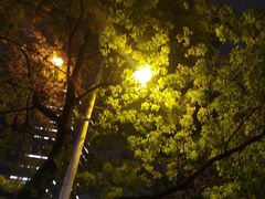 -阿胖龙虾小海鲜(宁国南路总店)